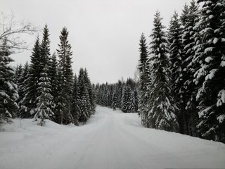 Winter road