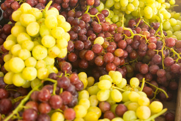 A lot of bunch of red and green grapes