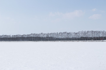北海道の雪景色