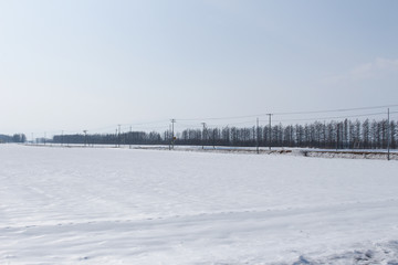 北海道の雪景色