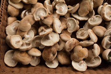 A pile of earthy chestnut mushrooms