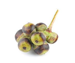 Asian Palmyra palm, Toddy palm, Sugar palm and Cambodian palm an isolated on white background