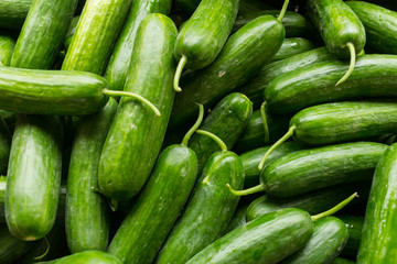 Close up of cucumber