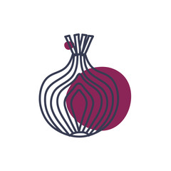 Isolated garlic vegetable line color style icon vector design