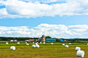 北海道農場のロールベールラップのある風景
