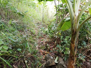 Preparation to sow