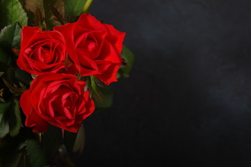 Bouquet red roses flower in glass vase on dark background