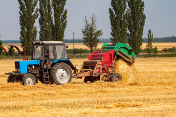 Obraz premium tractor makes big straw roll on yellow field at summer day