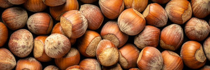 hazelnuts on dark background