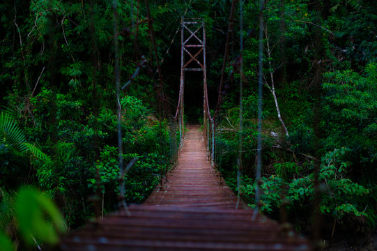 abandoned steel bridge in the forest