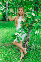 Portrait of a charming blond woman wearing beautiful white dress standing next to rowan tree with white flowers.