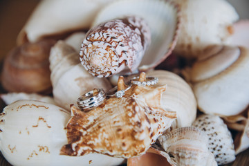 in a wicker vase are sea shells, on top are the wedding rings of the bride and groom