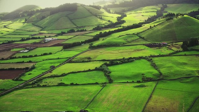 Green fields of Azore islands