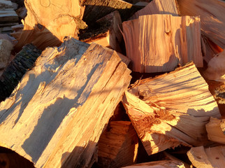 Fototapeta na wymiar Heap of cut firewood. Sawn, tree trunks drying outdoors in the sun before being stacked and stored.
