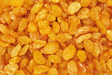 closeup of golden sultana raisins