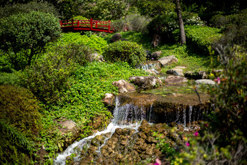Jardín Japonés, puente sobre cascada