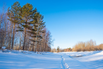 Frosty morning on a small forest river. Winter landscape.