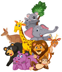 Naklejka premium Różne rodzaje dzikich zwierząt na białym tle