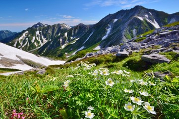 Walk along the ridges of Tateyama mountains in Japan