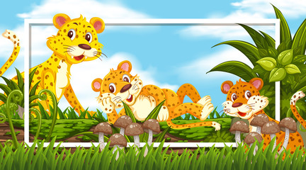 Obraz premium Frame design with cute tigers on the log