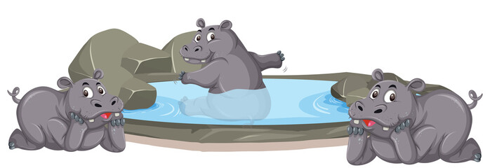 Three hippos enjoying themselves in the pond