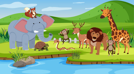 Obraz na płótnie Canvas Scene with many animals standing by the river