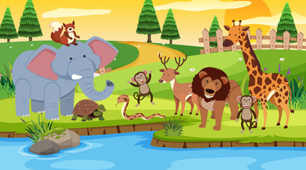 Scene with many animals standing by the river