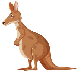 Sad kangaroo standing on white background