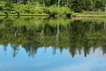 Obraz premium 水鏡沼と森の散策路 神仙沼