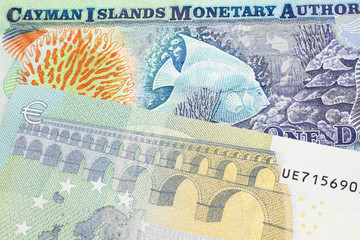 A European, blue and green five euro note close up in macro with colorful money from the Cayman Islands