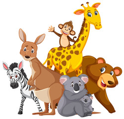 Different types of wild animals on white background