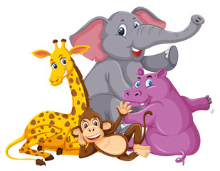 Different types of wild animals on white background