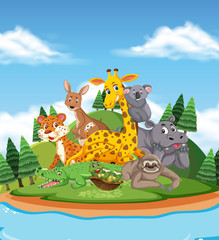 Scene with many wild animals in the park
