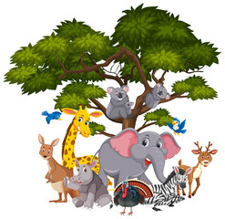Different types of animals on the tree
