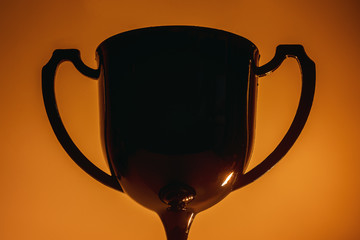 Winner's Trophy - Creative lighting.