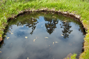 水鏡に映る木々沼と森の散策路　神仙沼