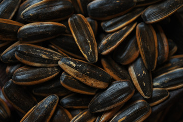 Background of the sunflower seeds