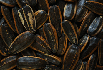 Background of the sunflower seeds