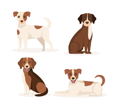 group of dogs animals icons vector illustration design