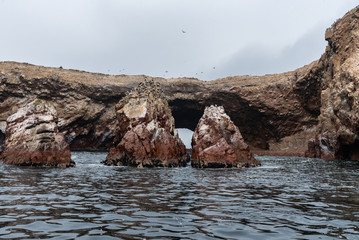 Humboldt penguins enjoying nice weather at Ballestas Islands Peru South AmericaPeru South America © Yuzi Photos