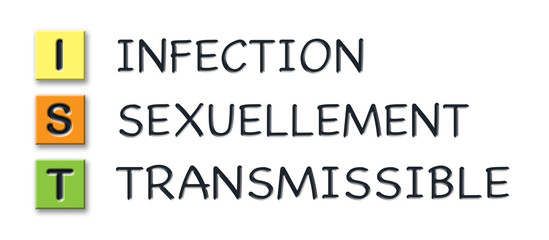 IST initials in colored 3d cubes with meaning in french language