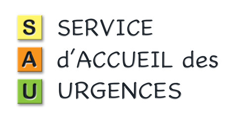 SAU initials in colored 3d cubes with meaning in french language