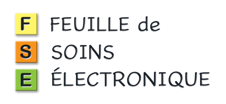 FSE initials in colored 3d cubes with meaning in french language