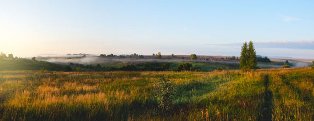 Foggy summer landscape