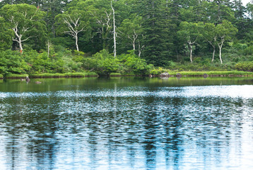 沼と森の散策路　神仙沼