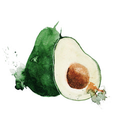 Watercolor illustration of green avocado.