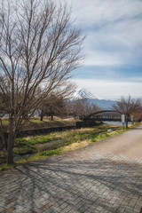 The scenery of the Fuji mountain on a cloudy day with the shadow of the tree foreground at Kawaguchiko lake in Yamanashi, Japan.