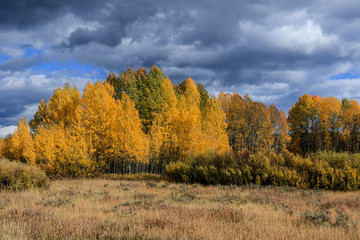 Colorful Autumn in the Grand Teton National Park, USA