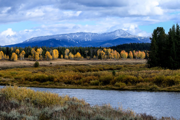 Colorful Autumn in the Grand Teton National Park, USA