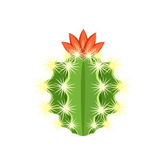 Colorful cactus and succulent plant vector illustration. Decorative isolated icon. Cartoon style doodle.
